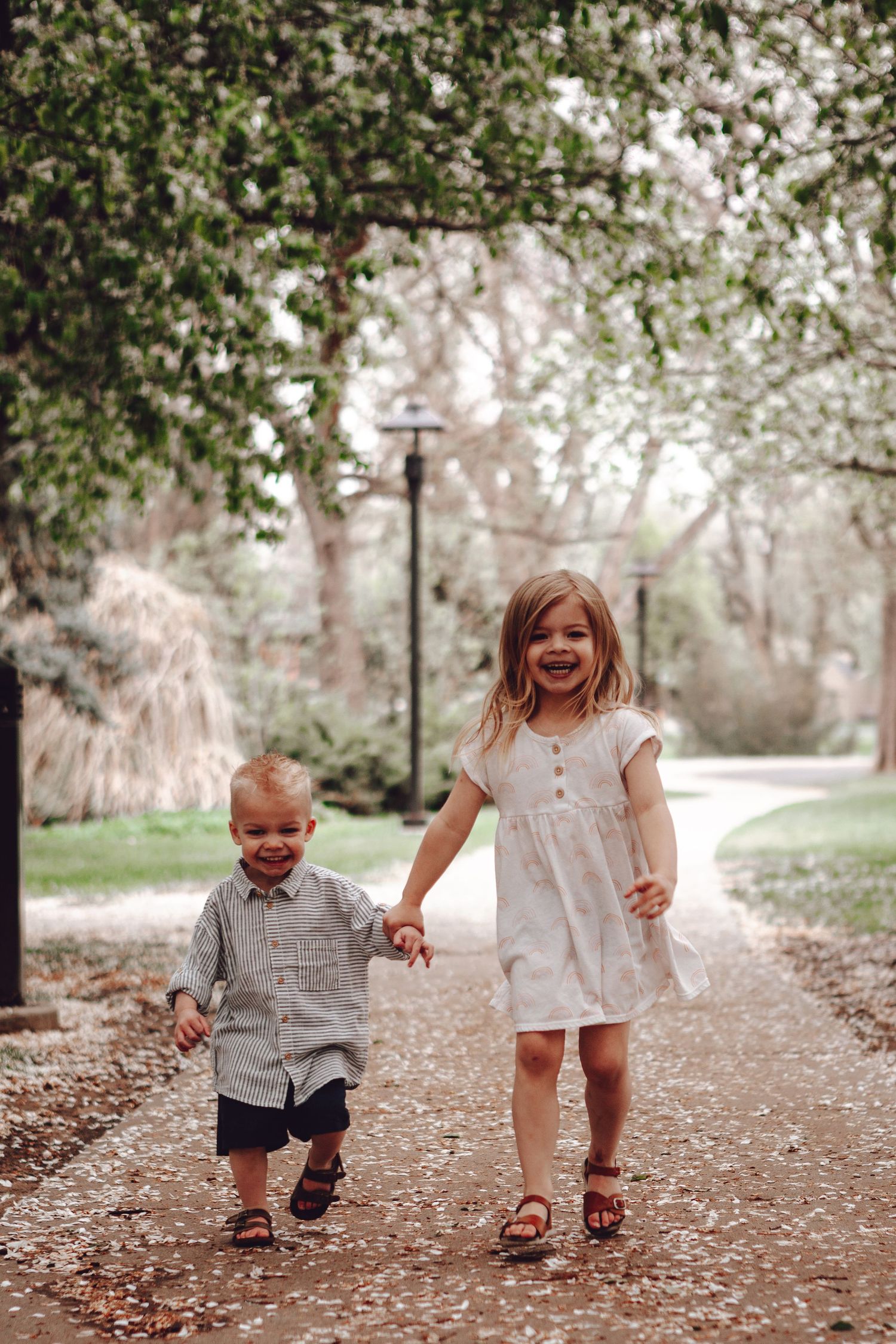 grand junction family photos