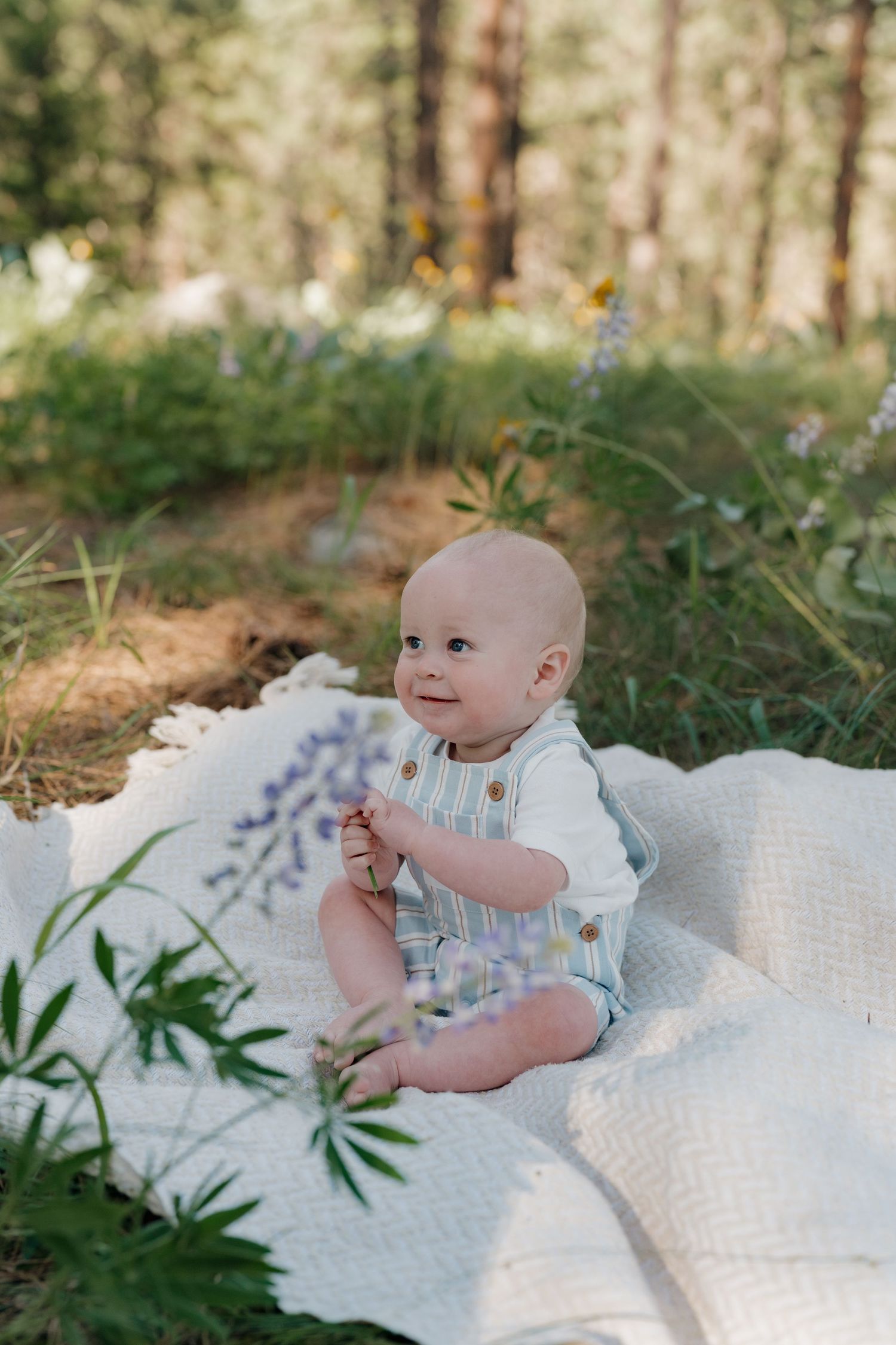 Smiling baby in striped romper sitting on white blanket surrounded by wildflowers and trees in a sunny forest.