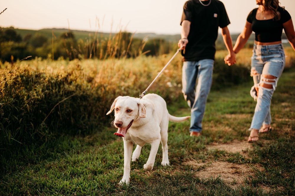 Engagement Session, Kristen Jamerson Photography, Hanover PA, Central Pennsylvania, Maryland, Finksburg.