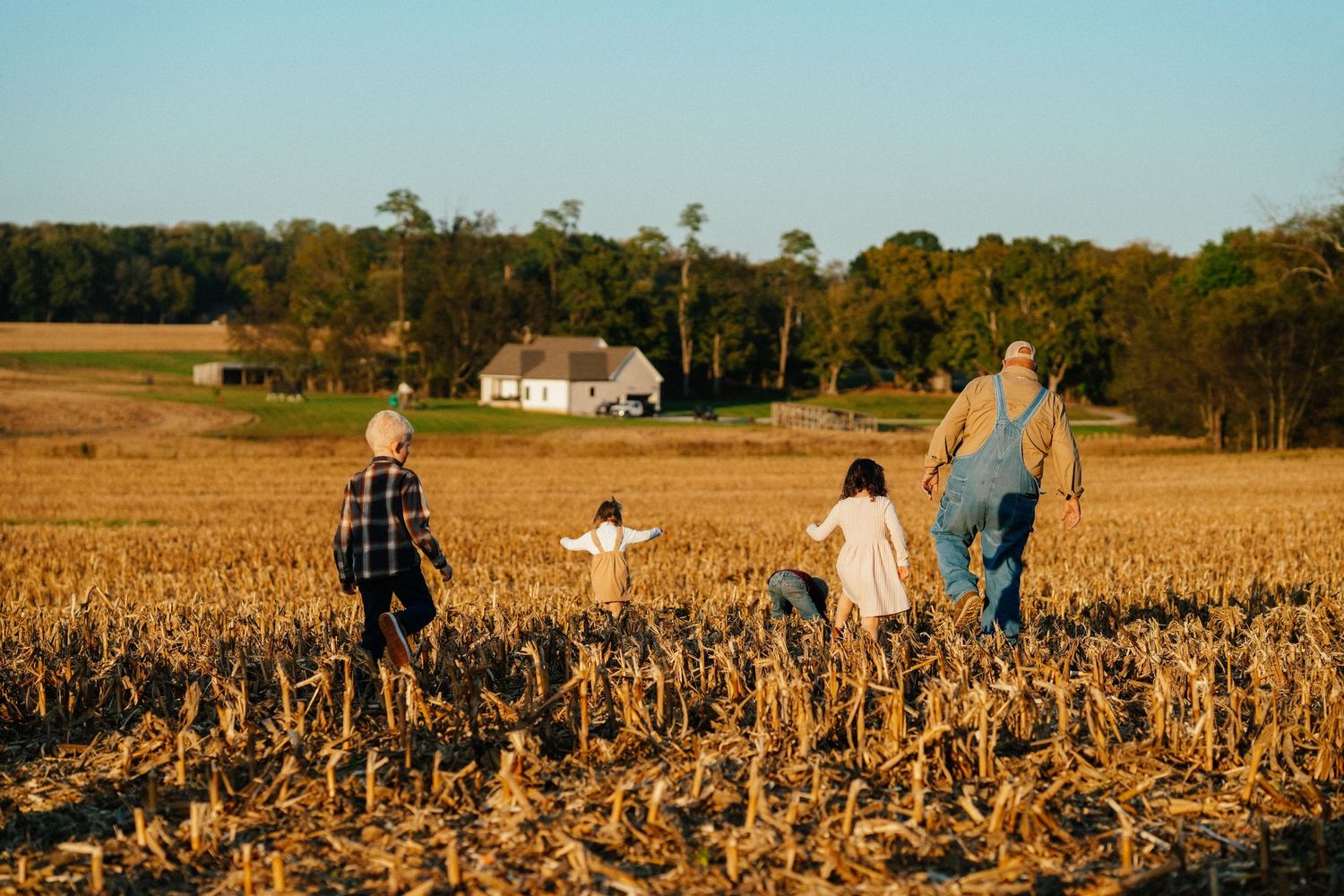 Family walking together through golden harvested cornfield at sunset.