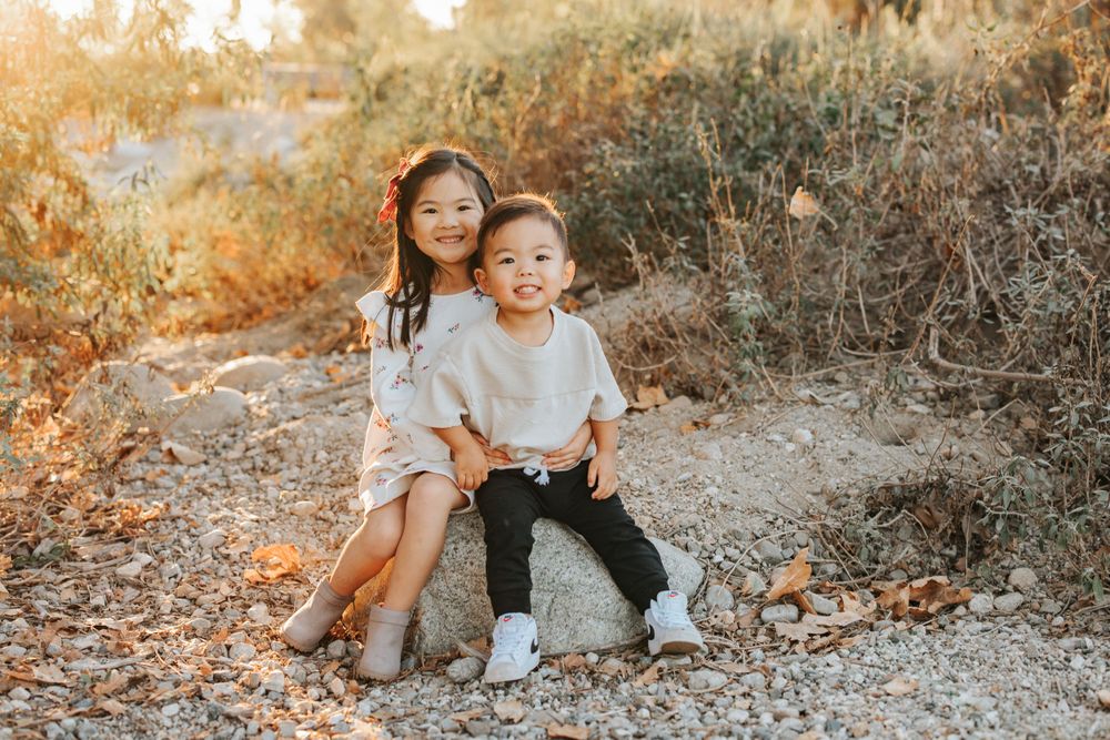Two children sitting together on tree stump during golden hour photoshoot.