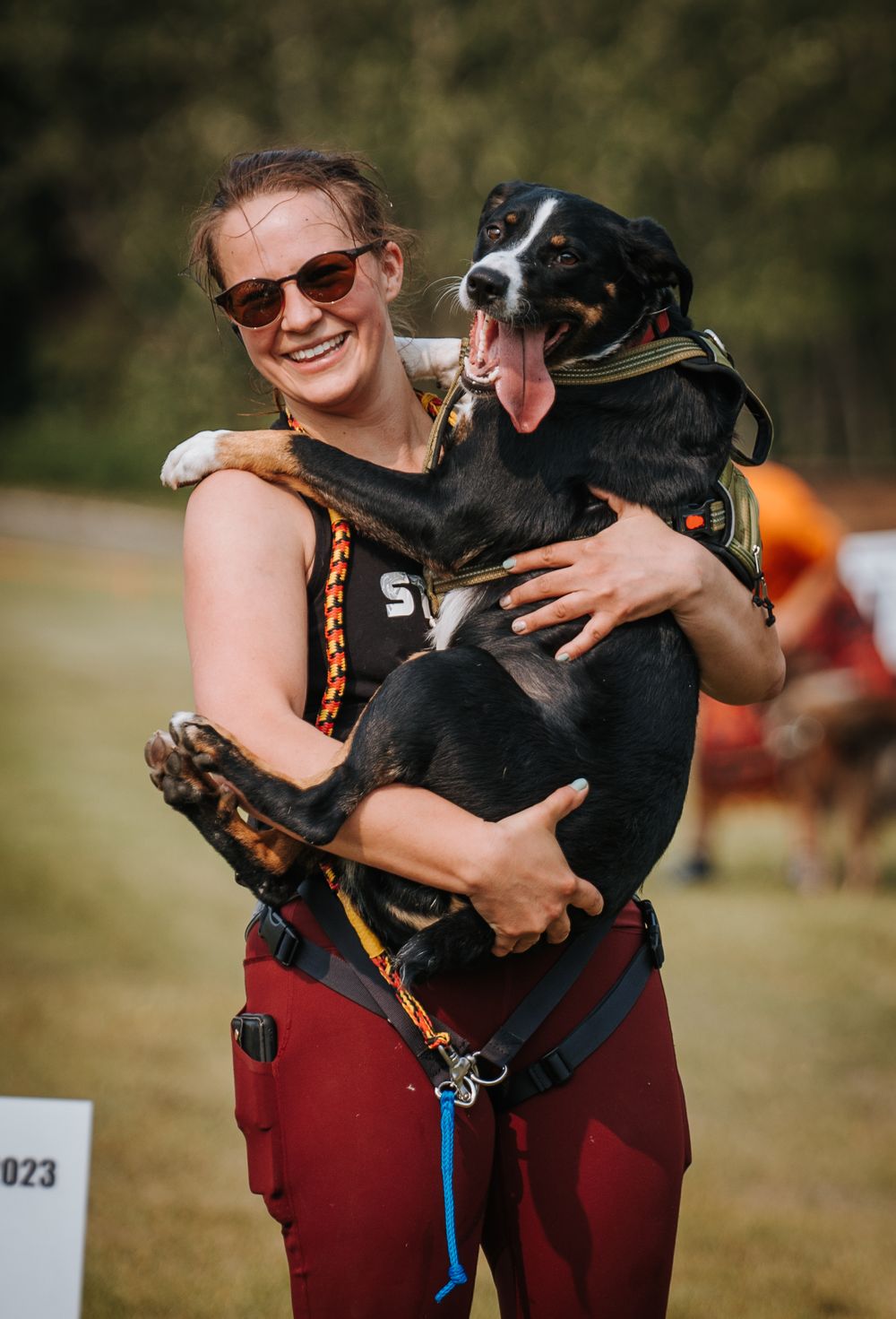 A border collie mix being held and hugged outdoors while playfully sticking its tongue out.