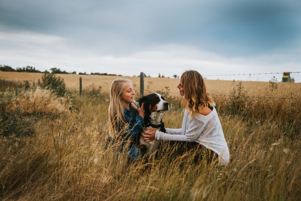 Two friends playing with their dog in tall grass during golden hour.