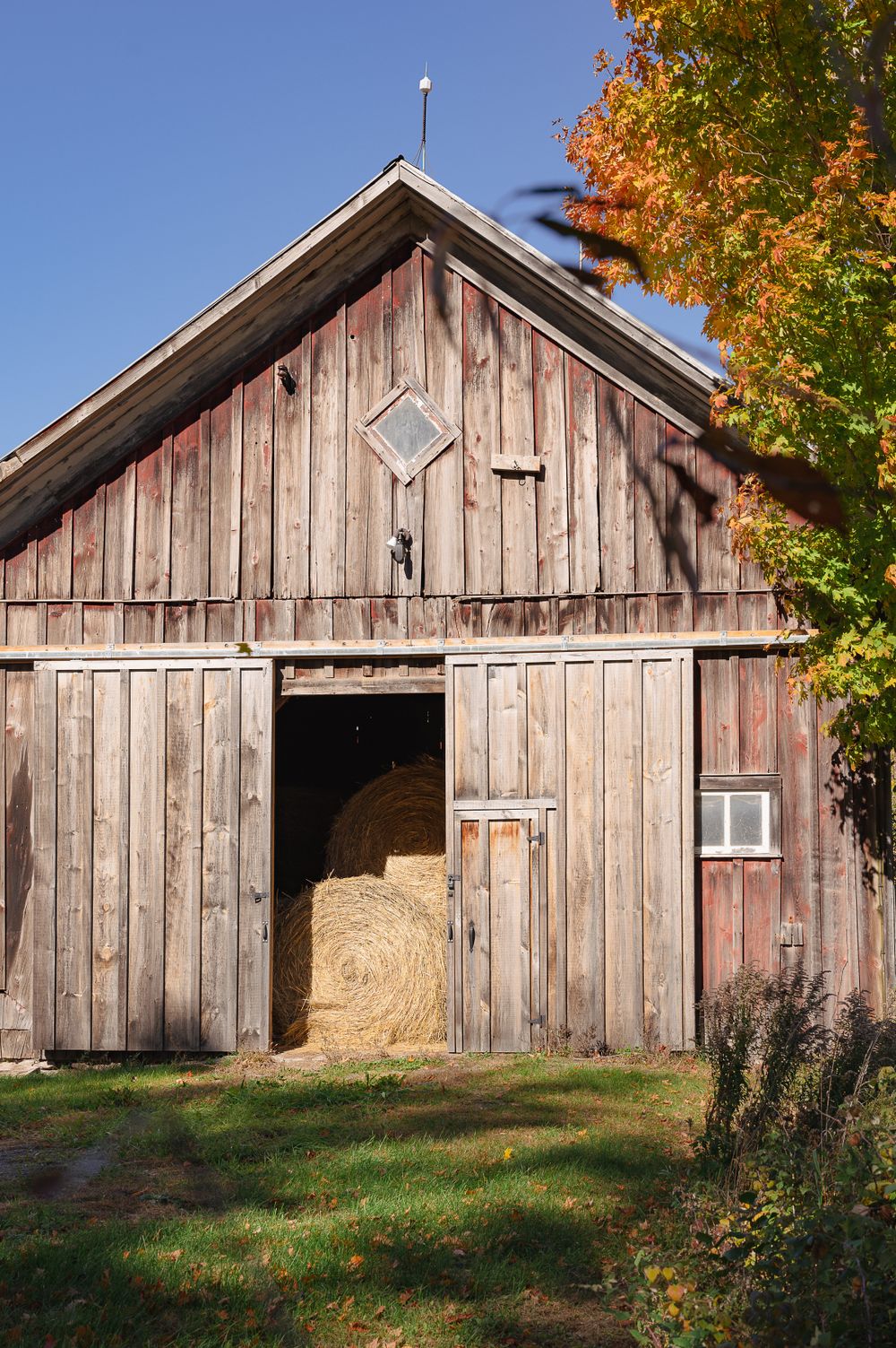 Rustic wooden barn with hay visible through open doors surrounded by fall foliage.