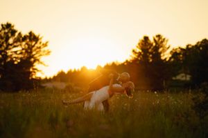 Kitchener Wedding Photography