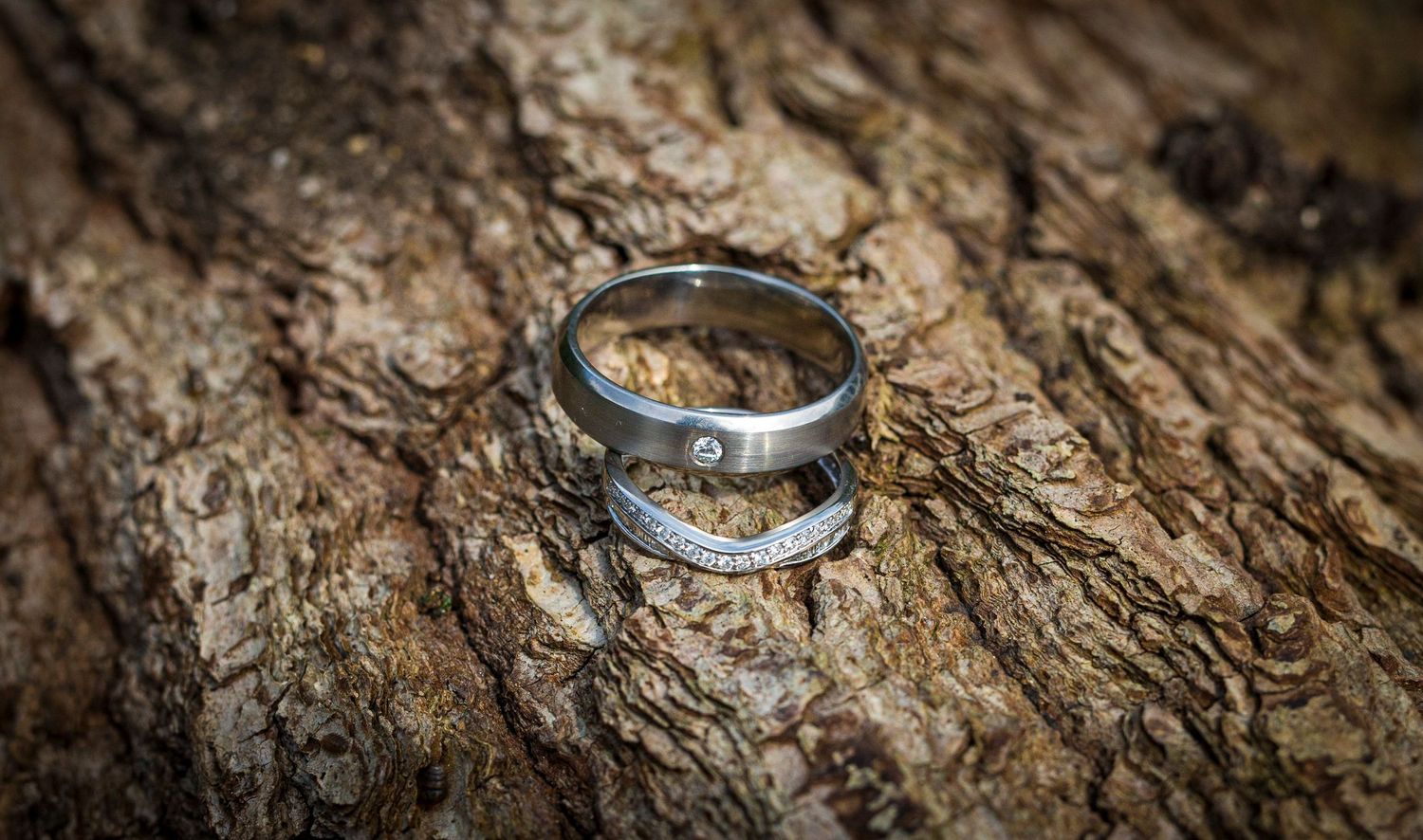 Wedding rings photographed on rustic tree bark with detailed texture and natural lighting.