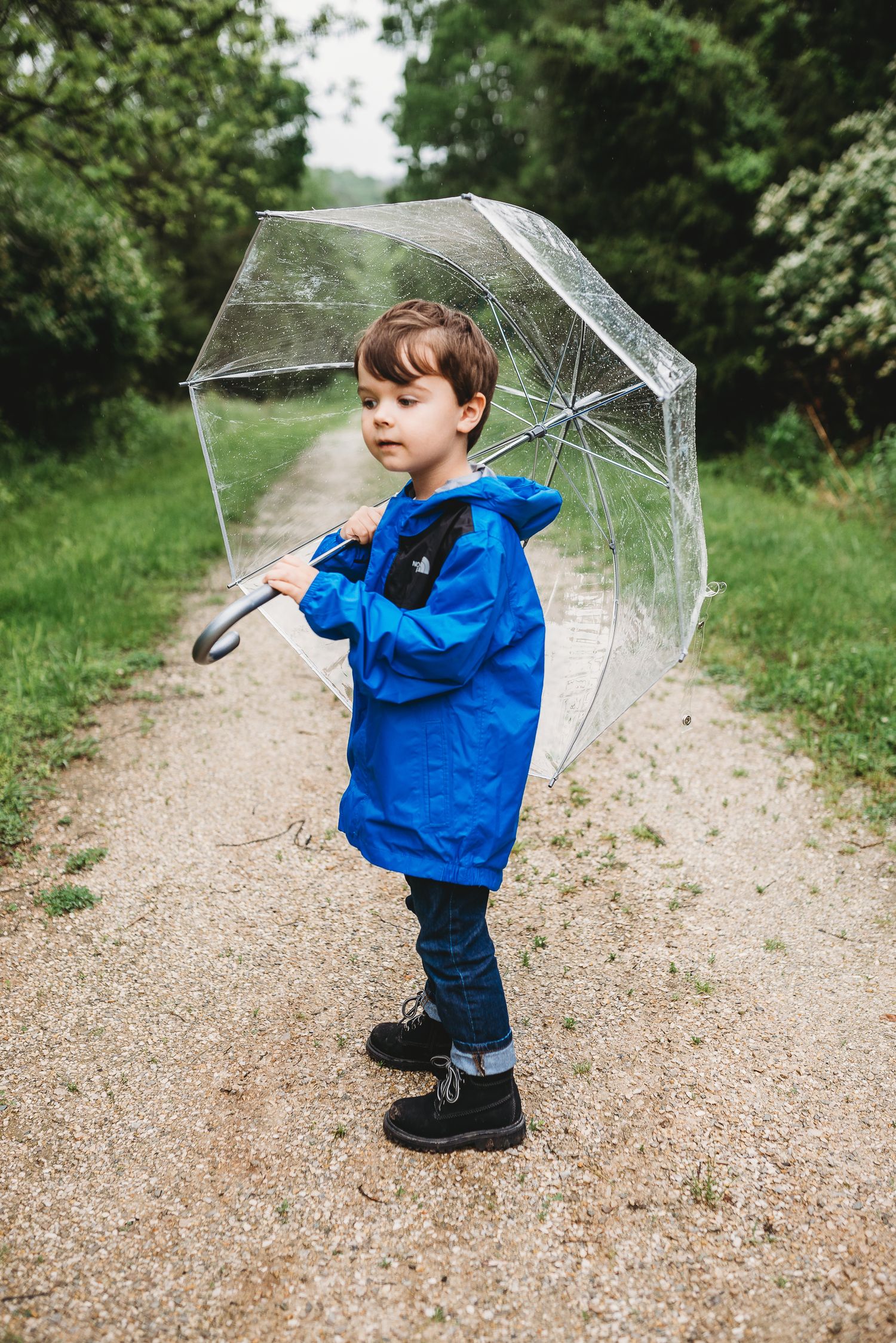 Award Winning St. Louis Photographer