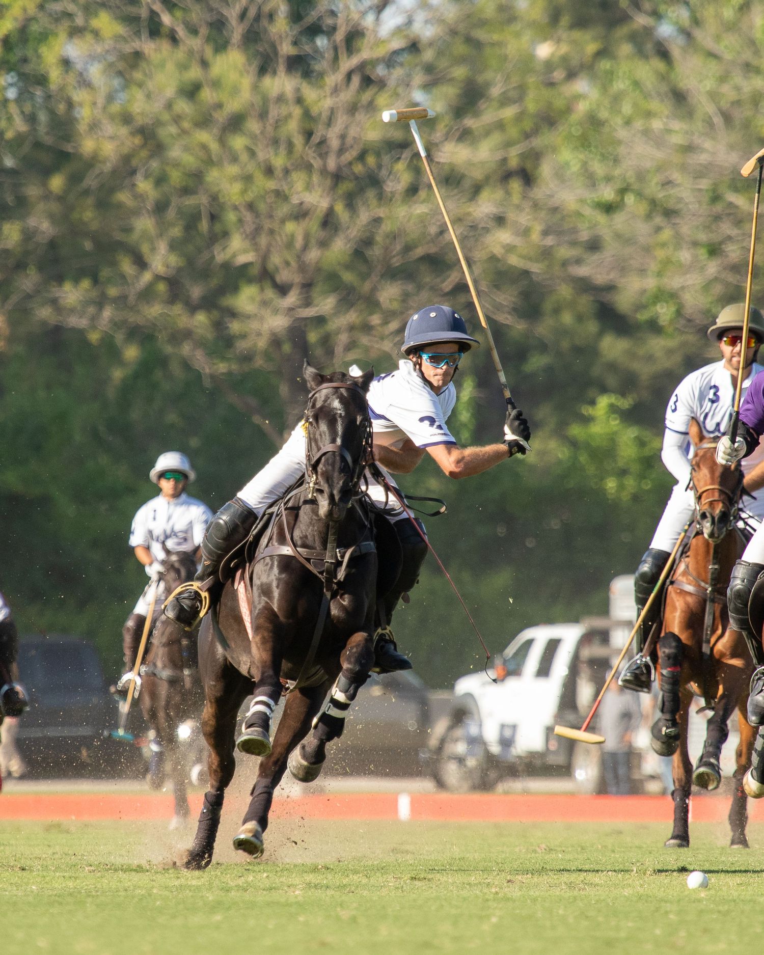 Polo