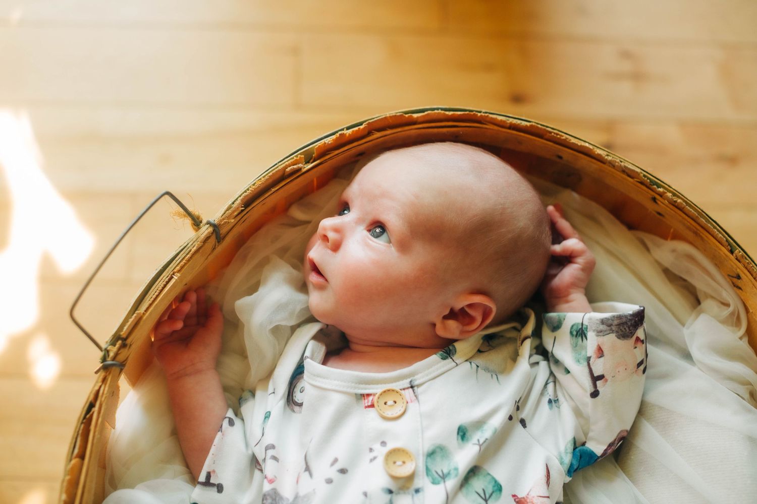 A newborn baby boy in a basket looks up to the light by Traverse City Newborn photographer Grace Hudson