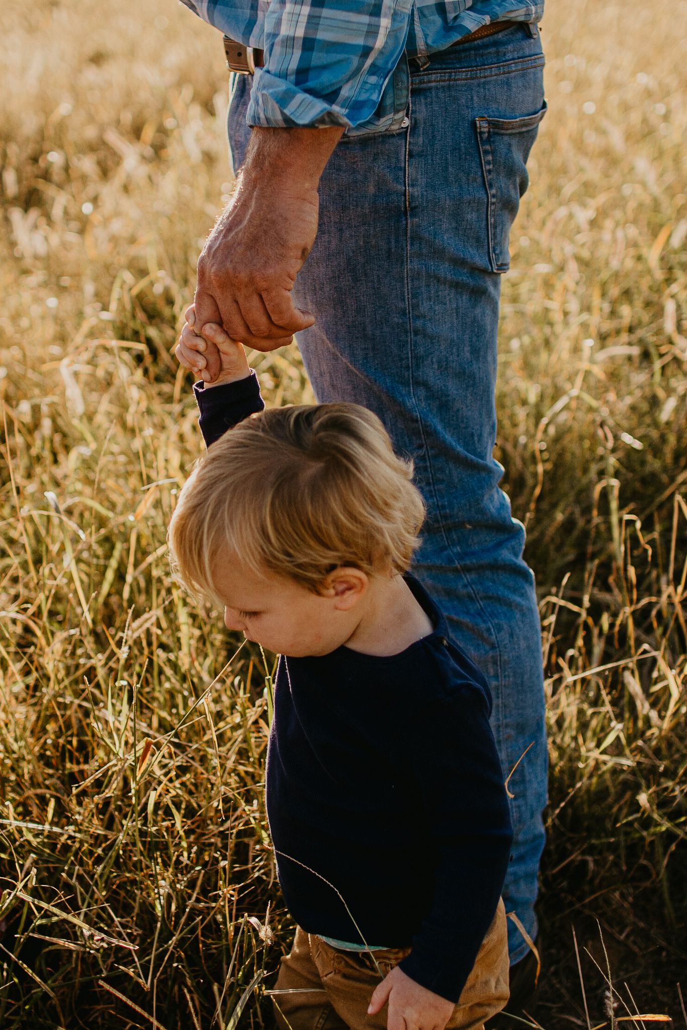 young boy standing next to dad in the paddock holding his hands