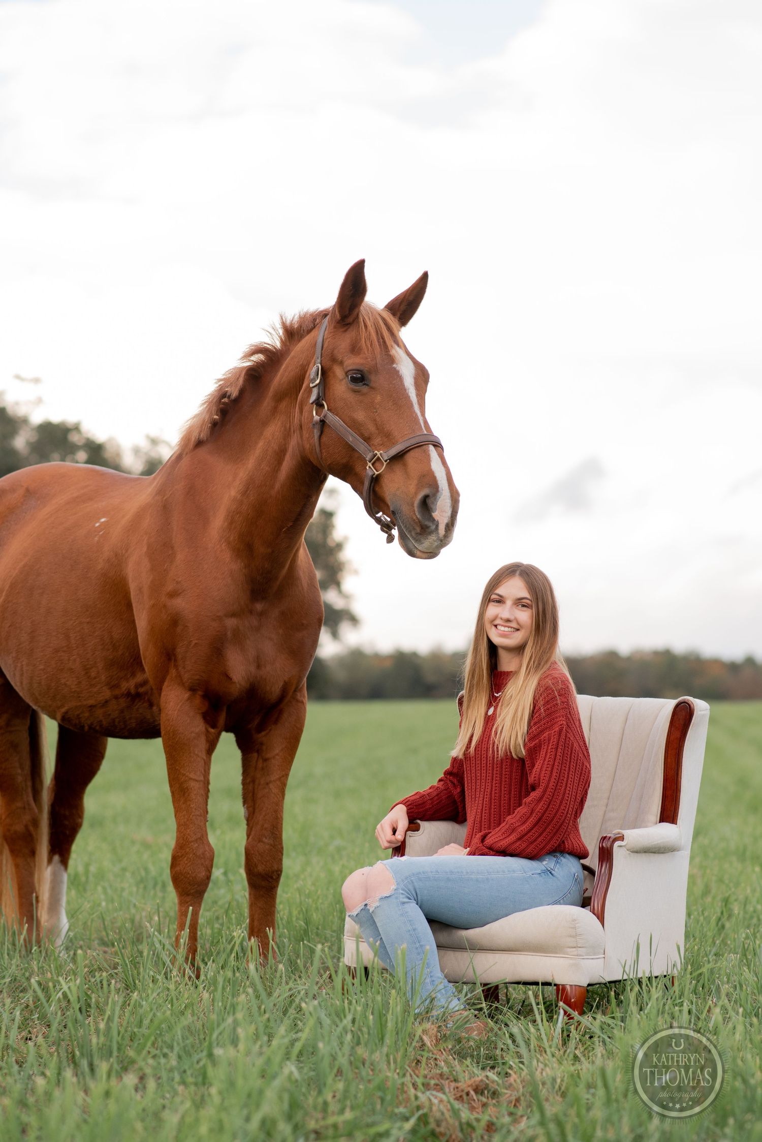 Someone in a red sweater sits in an armchair placed in a grassy field beside a chestnut horse.