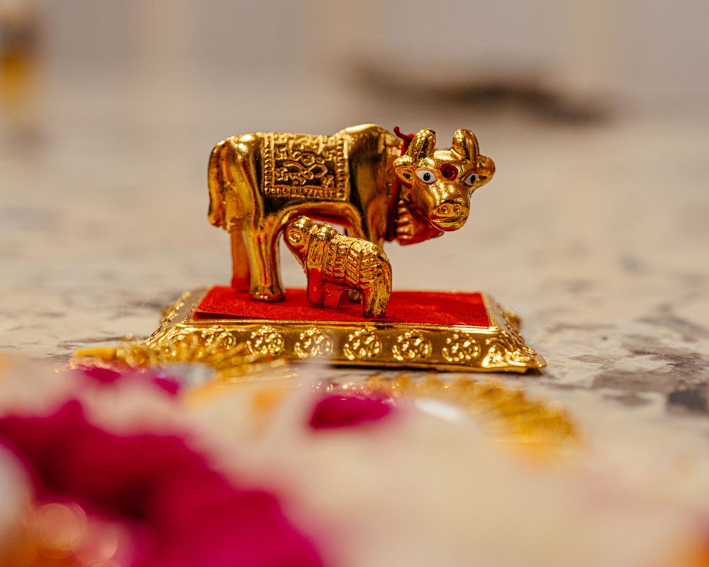 Golden decorative cow statue on a red platform displaying intricate metalwork details.