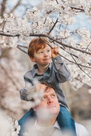 father-and-son-cherry-blossom