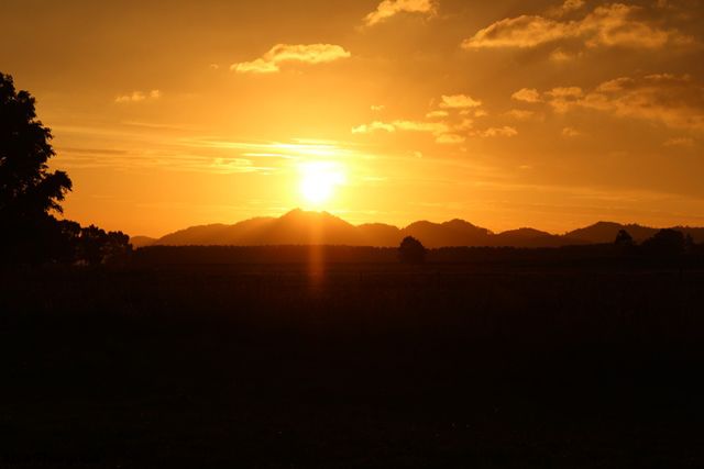 sunset