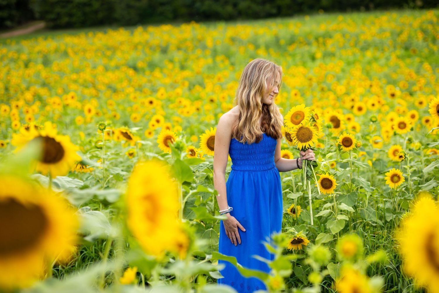 Person in flowing blue dress stands among tall blooming sunflowers.