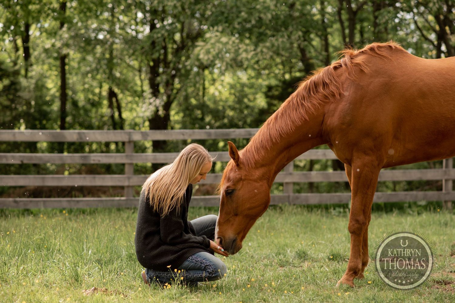 A chestnut horse bends down to connect with someone sitting on grass near a wooden fence.
