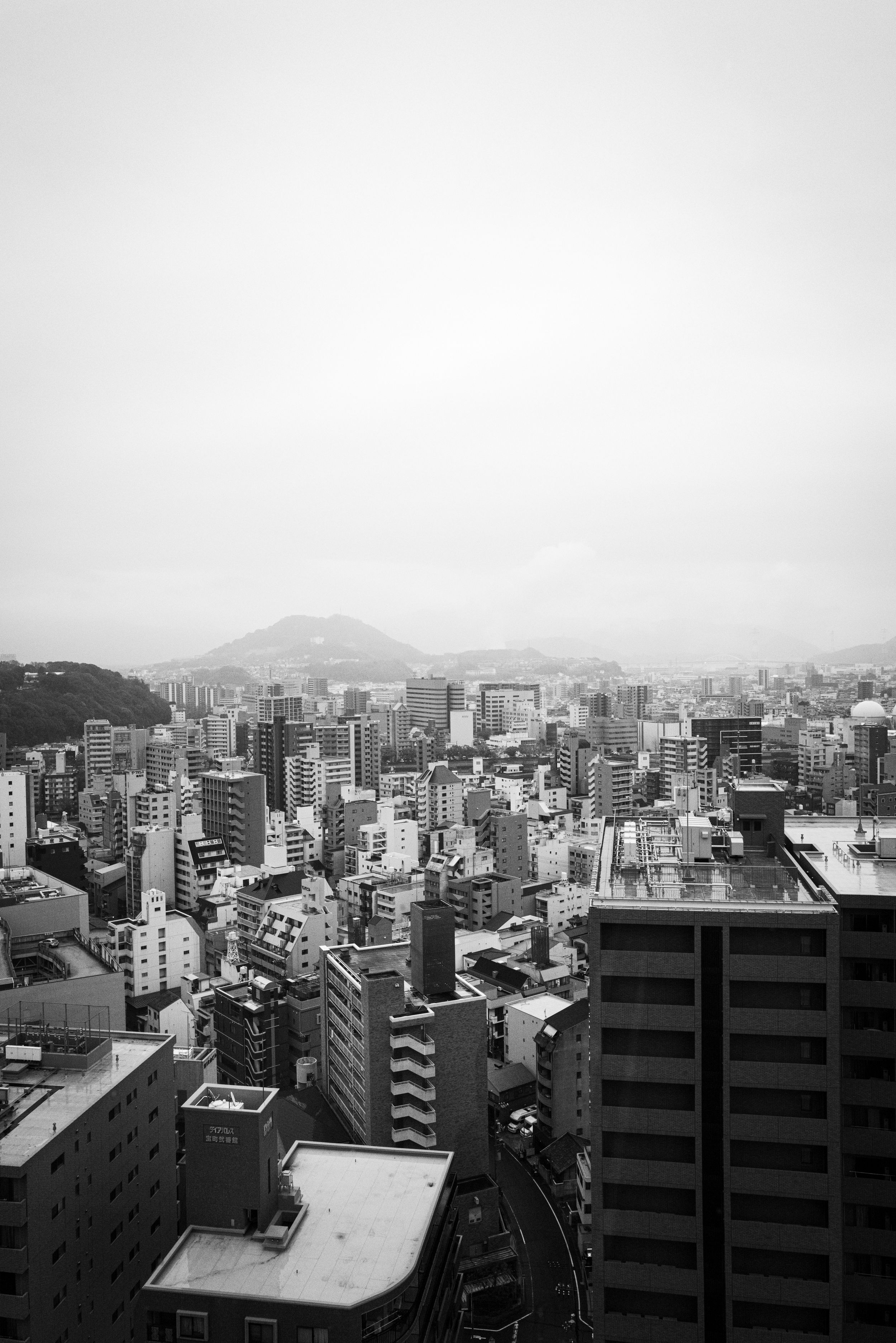 Why the Leica Q2 is the Perfect Camera for Everyday Life Trabold