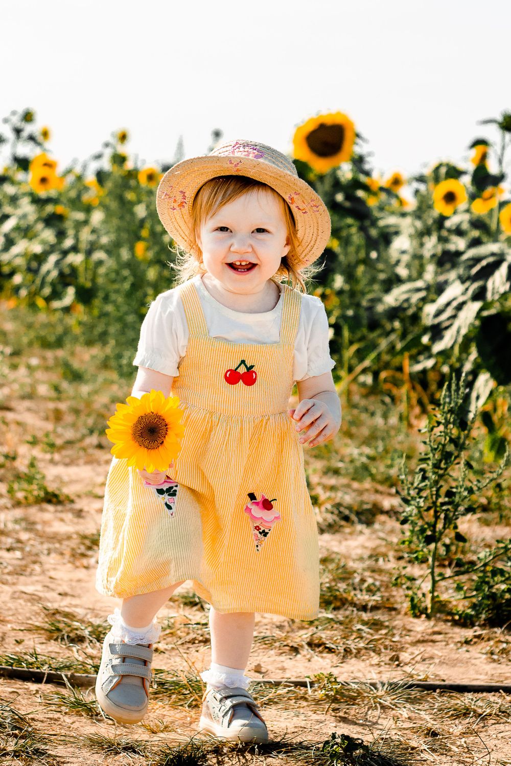 At Sam's Sunflowers on Hayling Island, Hampshire, a family laugh and play in the flowers.