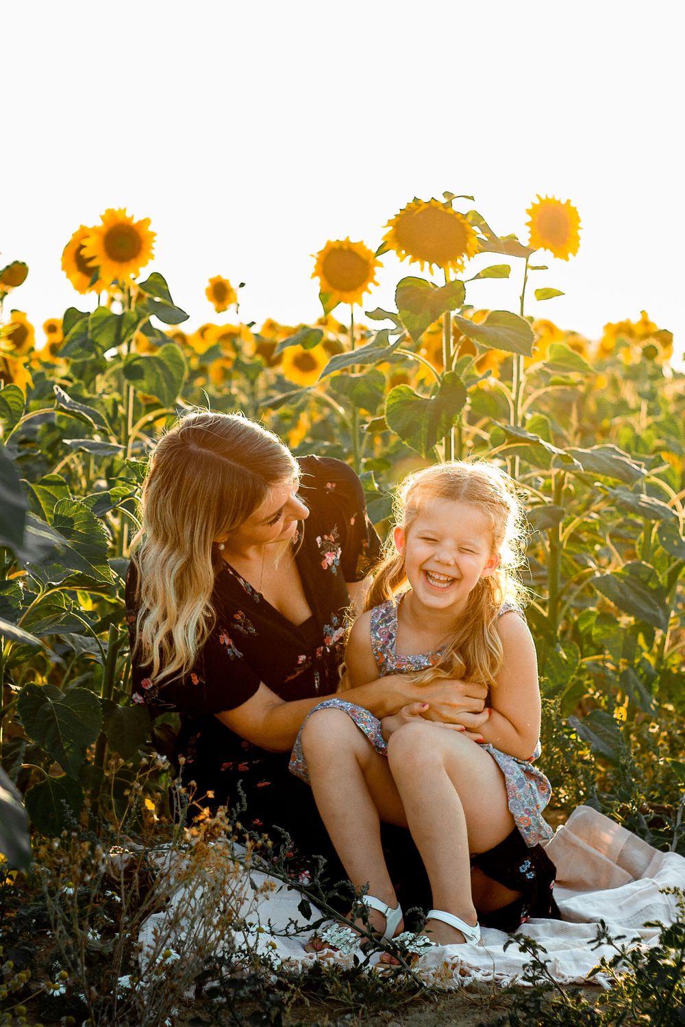 At Sam's Sunflowers on Hayling Island, Hampshire, a family laugh and play in the flowers.