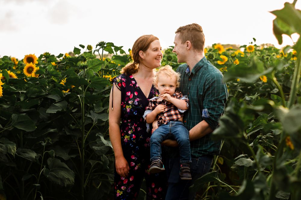 At Sam's Sunflowers on Hayling Island, Hampshire, a family laugh and play in the flowers.