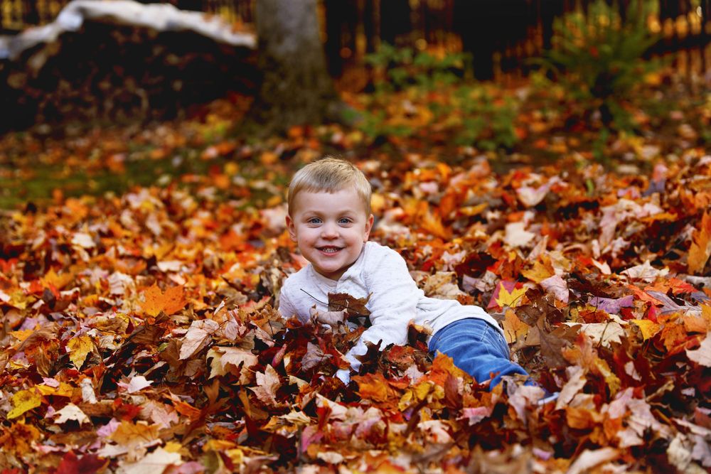 Playing in the leaves