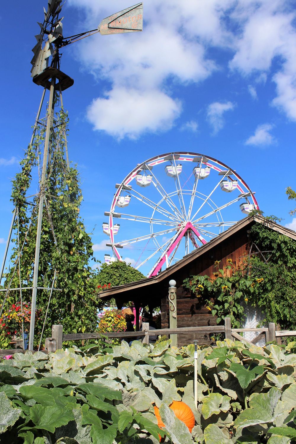 Washington State Fair, Puyallup WA