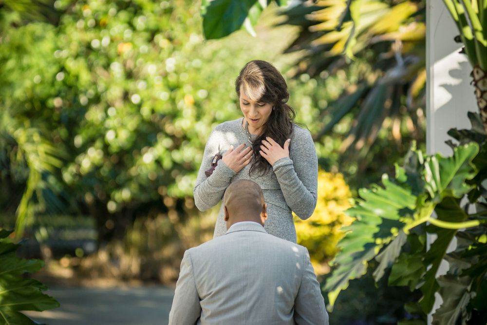 Surprise proposal moment in lush garden setting with couple on path.