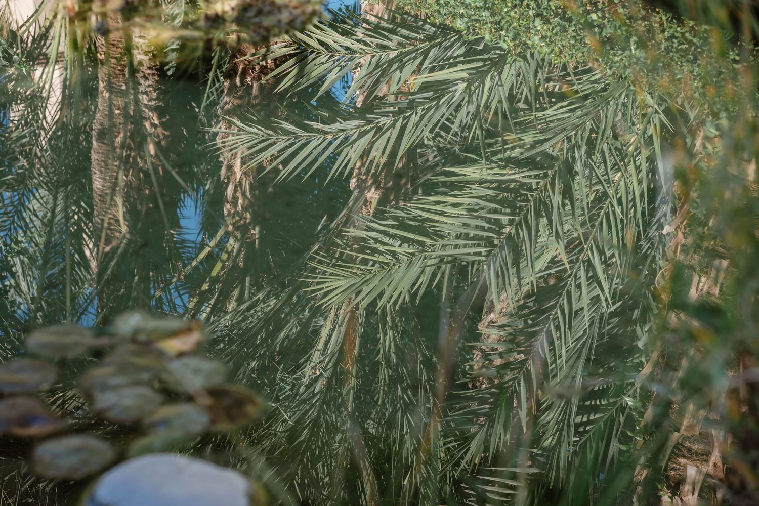 Zara Davis Wedding Photography Morocco Marrakech Hotel Les Deux Tours pool reflection