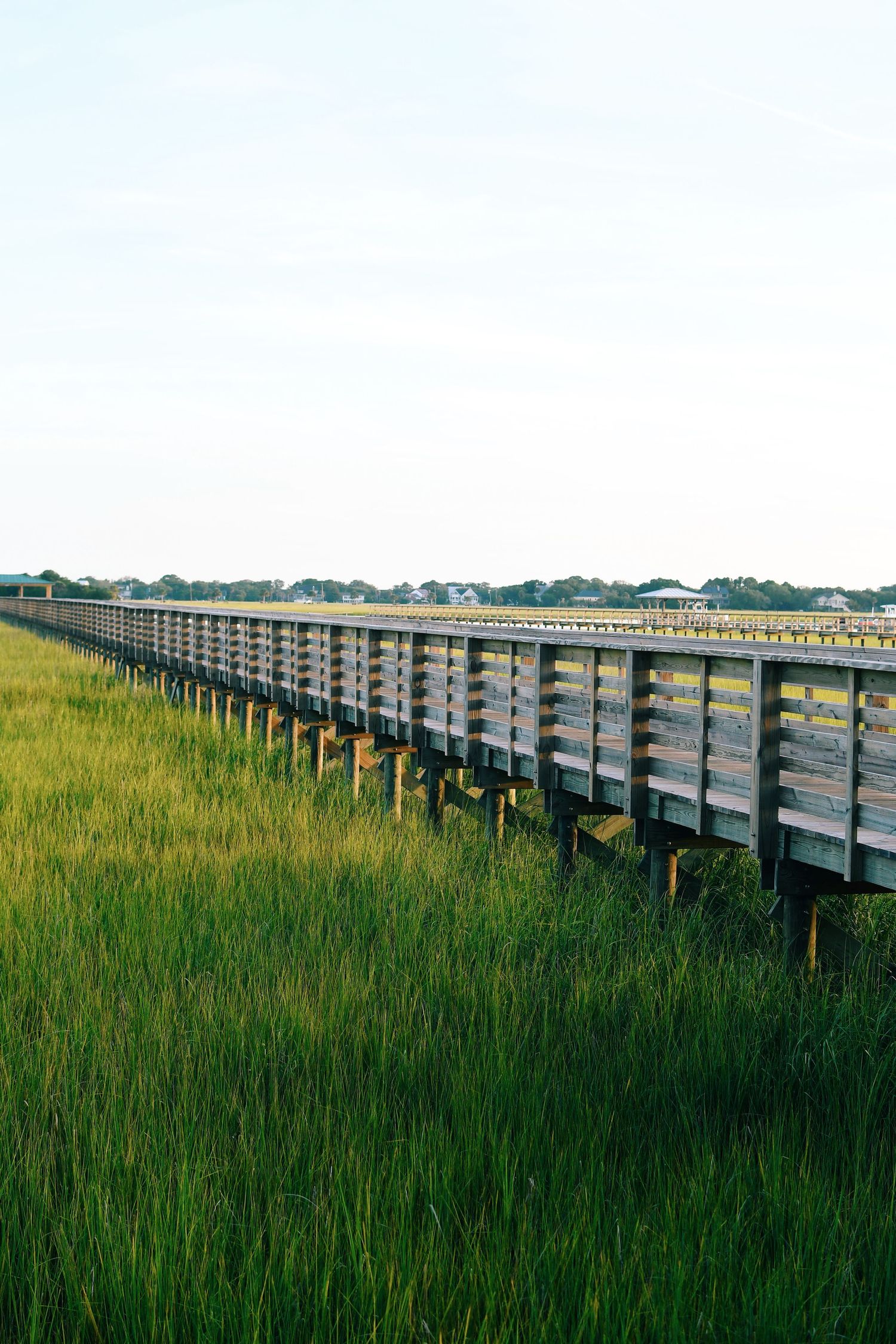 Long wooden boardwalk stretches through tall grass in a coastal marsh landscape.