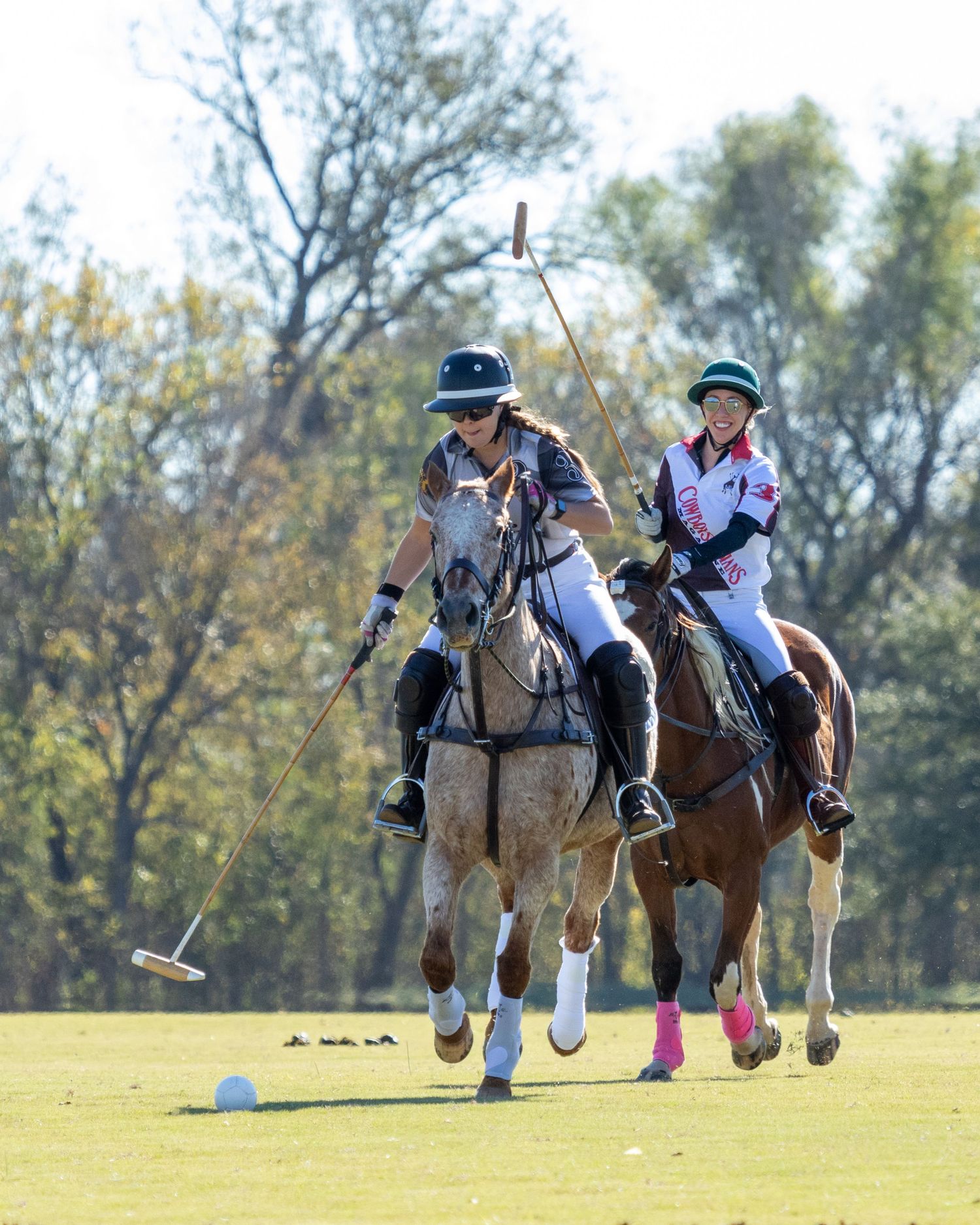 Polo