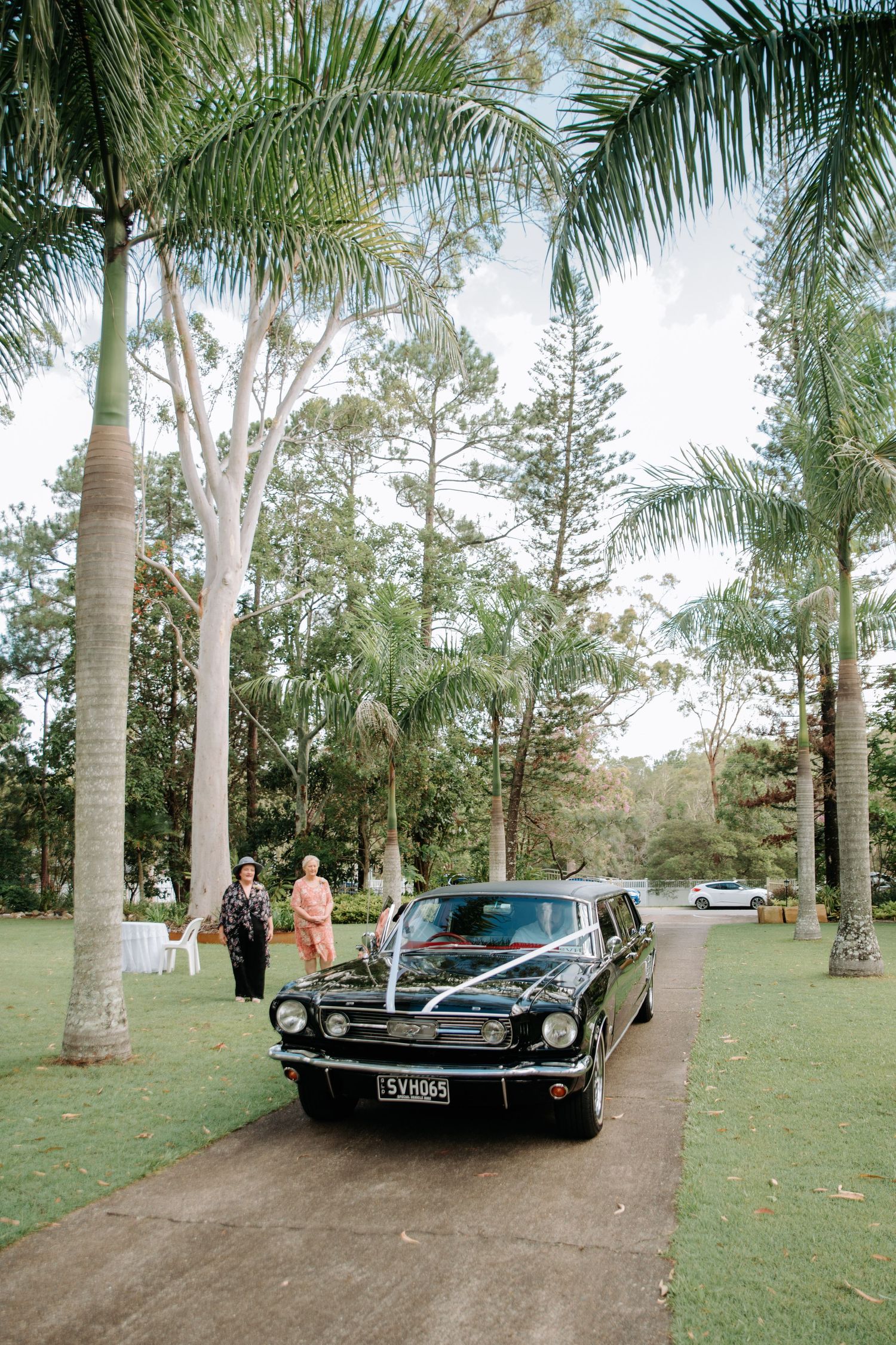 A classic black vintage car parked on a path lined with palm trees in a lush garden setting.
