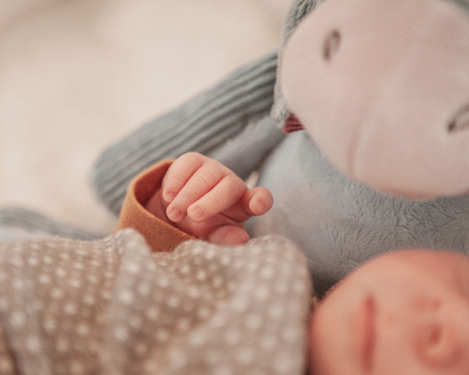 New born at home photo shoot with Cornwall new born photographer tiny fingers