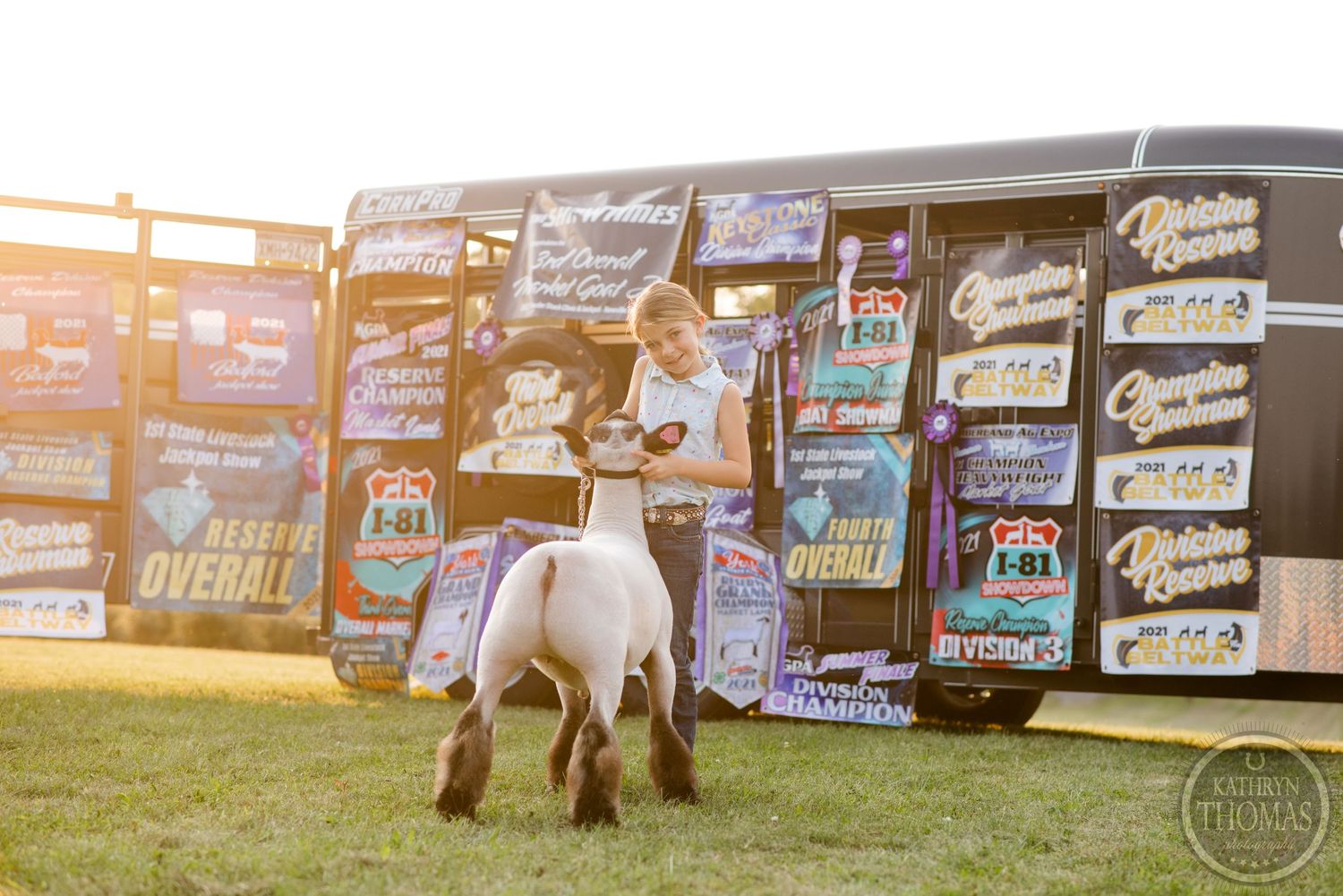 White show animal stands with handler before wall of colorful competition banners at sunset.