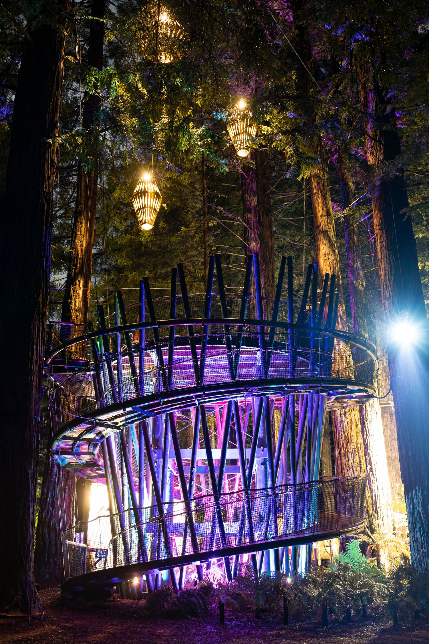 A spiralled lantern walkway glows purple and gold, hidden in the bush like a beacon in a fairytale forest.