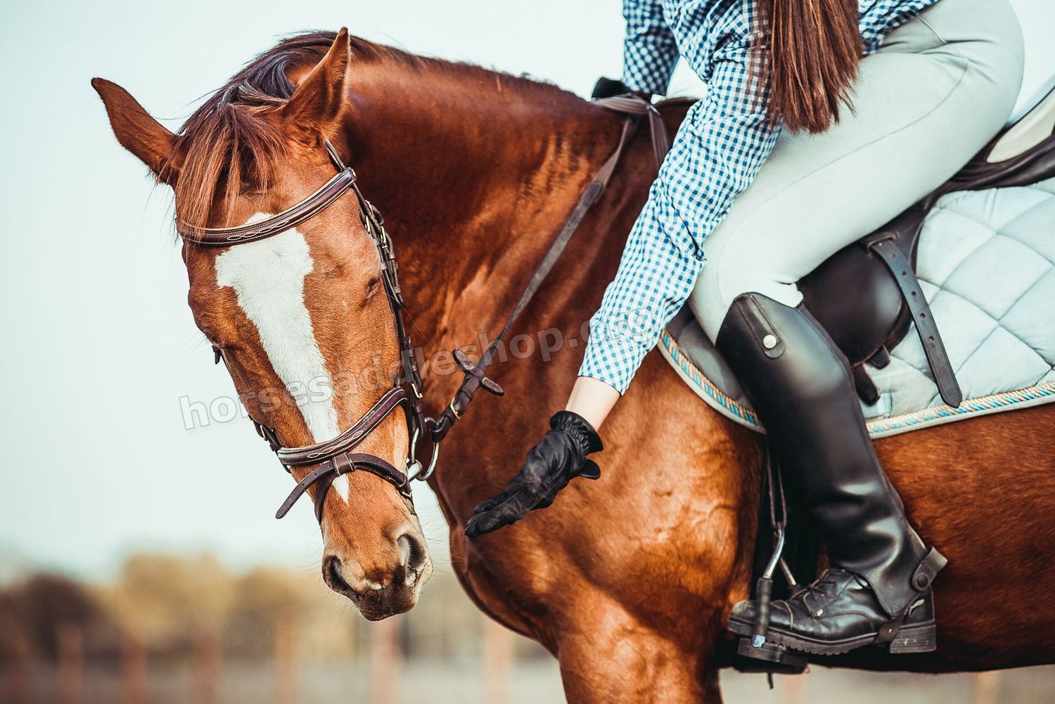 Horse Saddle Shop