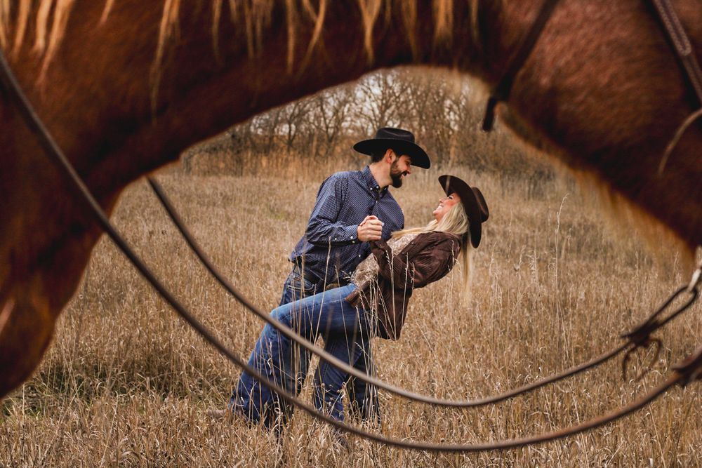 A romantic moment viewed through a horse's bridle in a golden field.