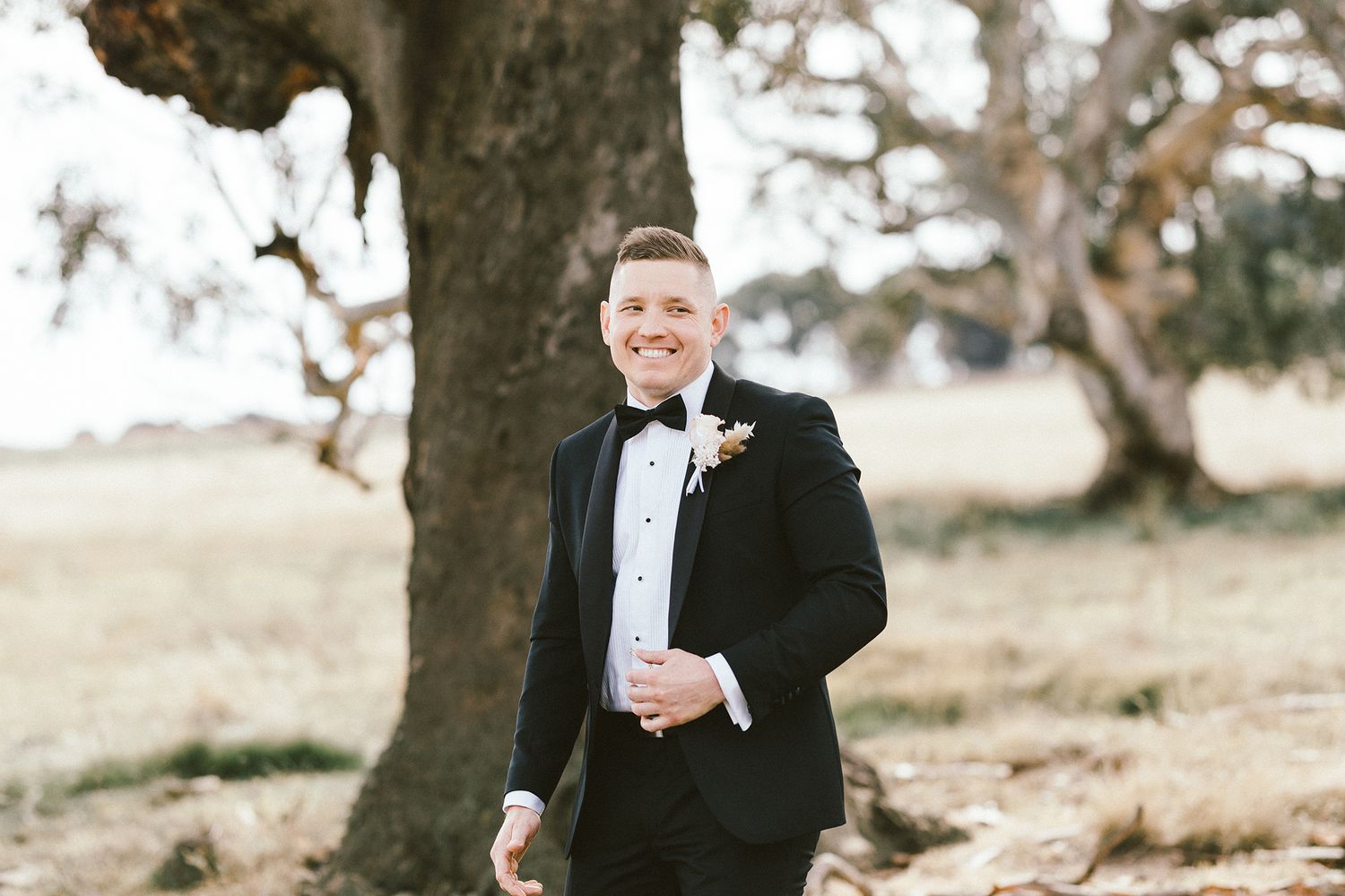 A formal wedding portrait taken beneath a grand eucalyptus tree.