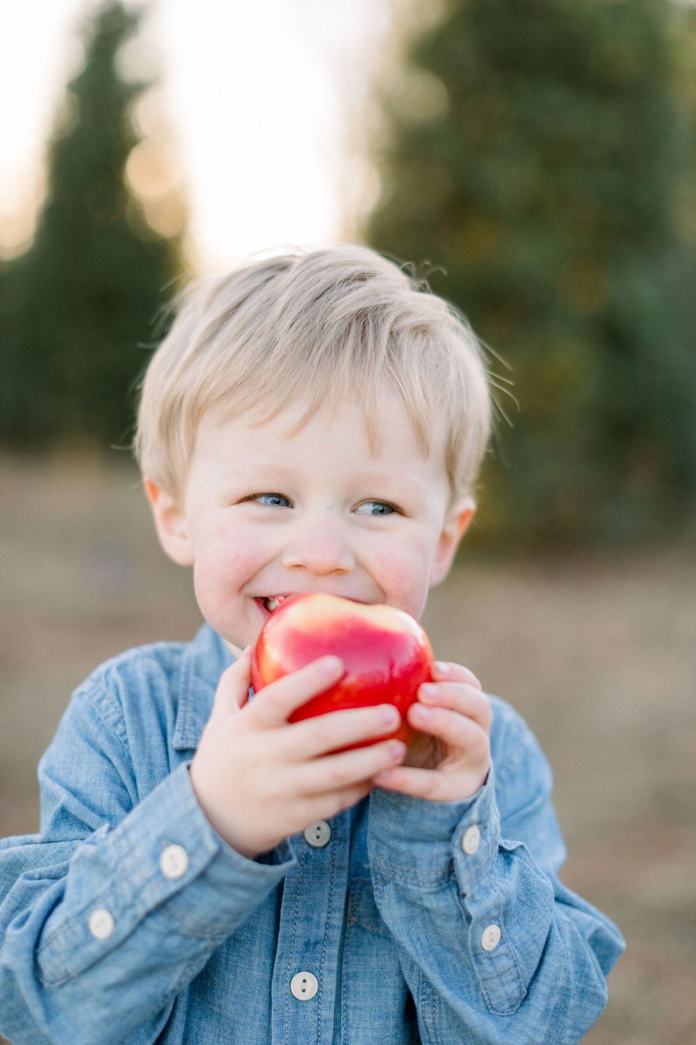 Smiling toddler boy in blue denim shirt happily biting into a large red apple outdoors.