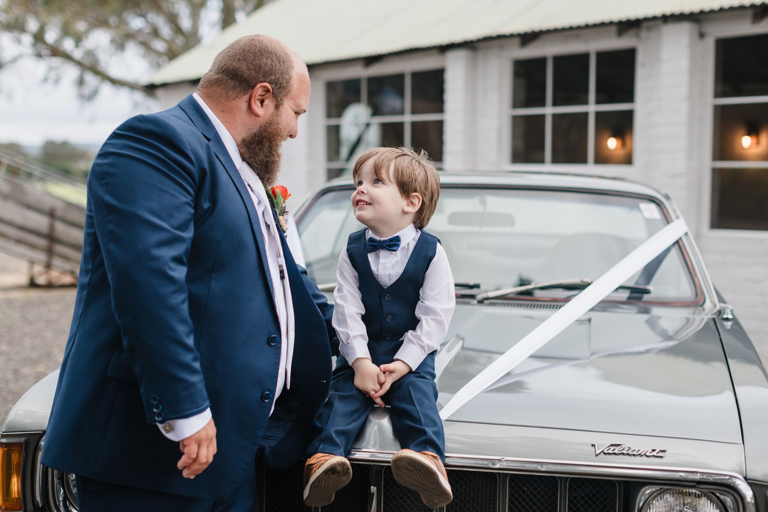 Ann and Tom Photography Videography — photo 1 of 18