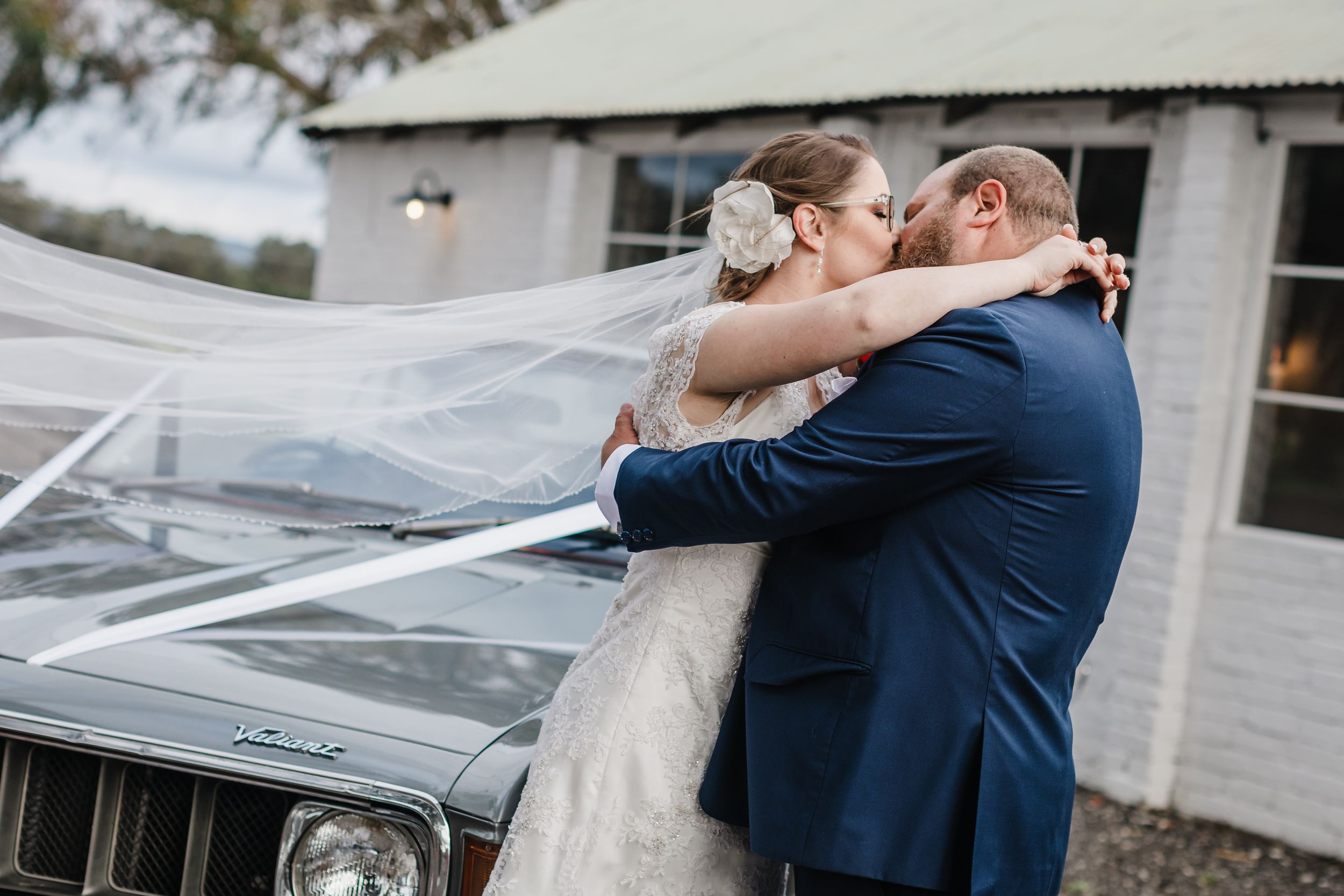 Ann and Tom Photography Videography — photo 3 of 18