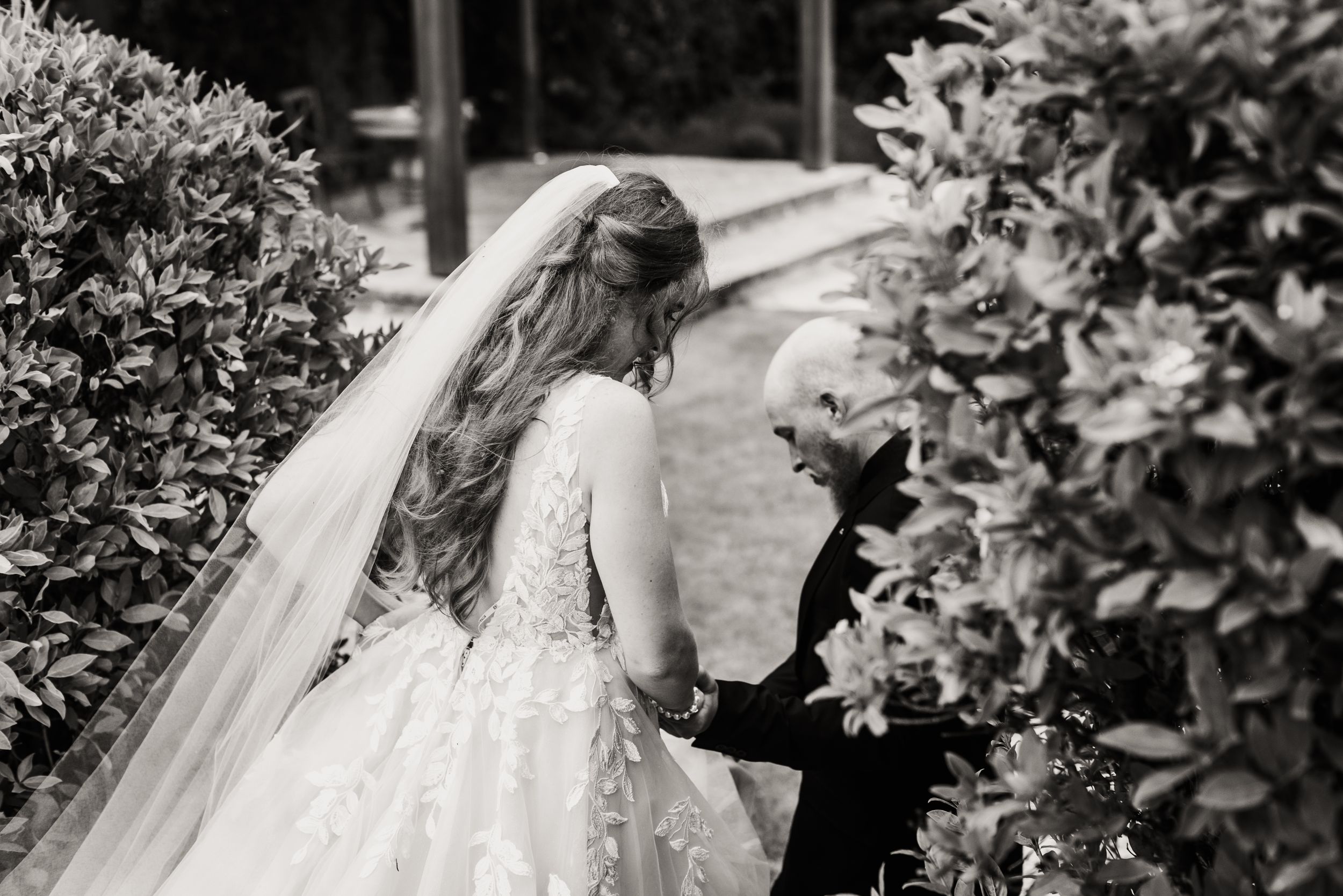 Ann and Tom Photography Videography — photo 5 of 18