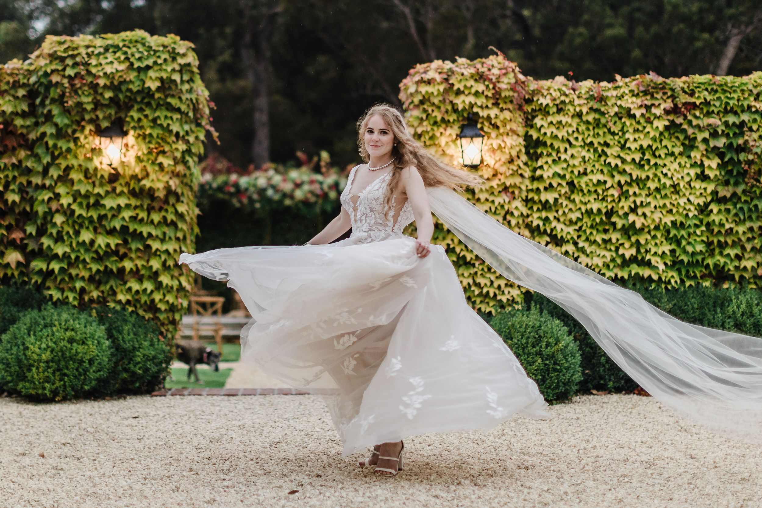 Ann and Tom Photography Videography — photo 12 of 18