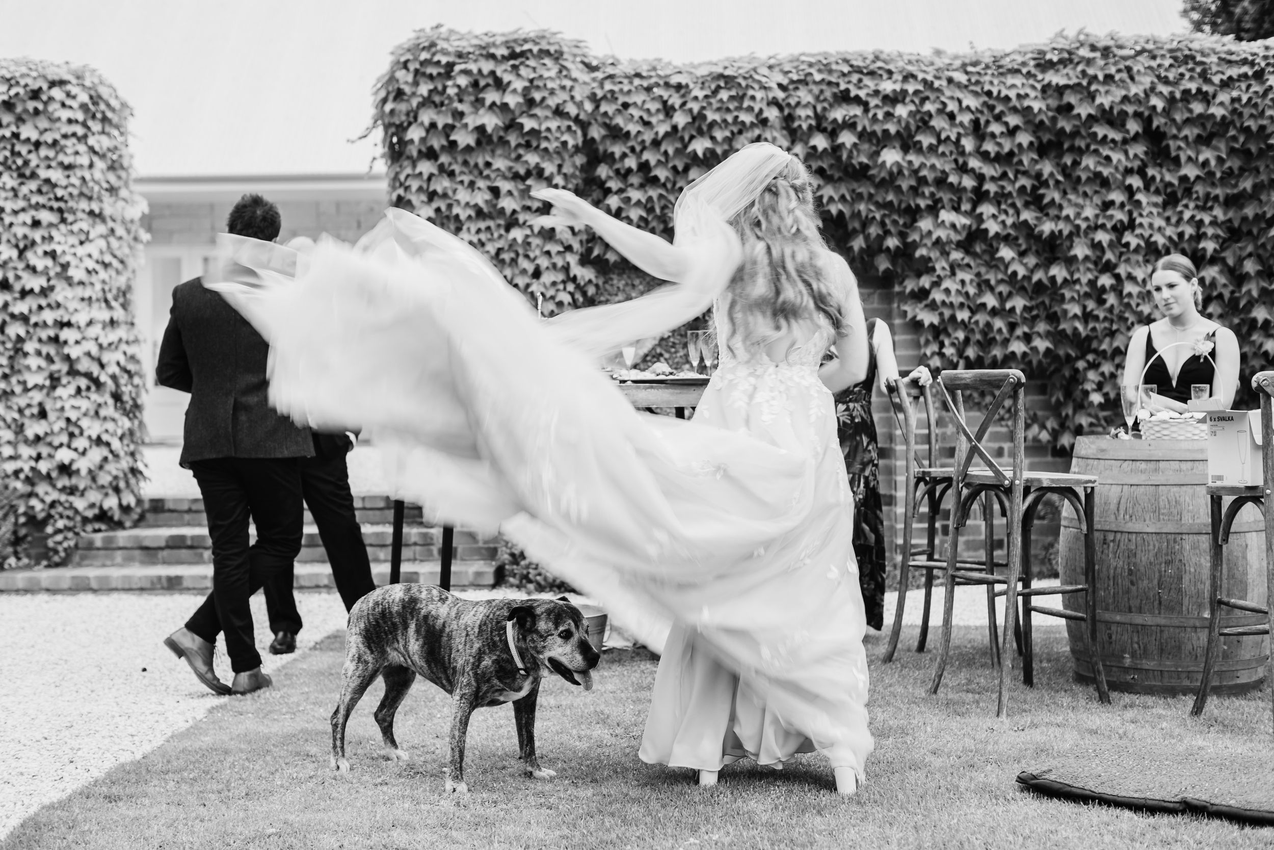 Ann and Tom Photography Videography — photo 14 of 18