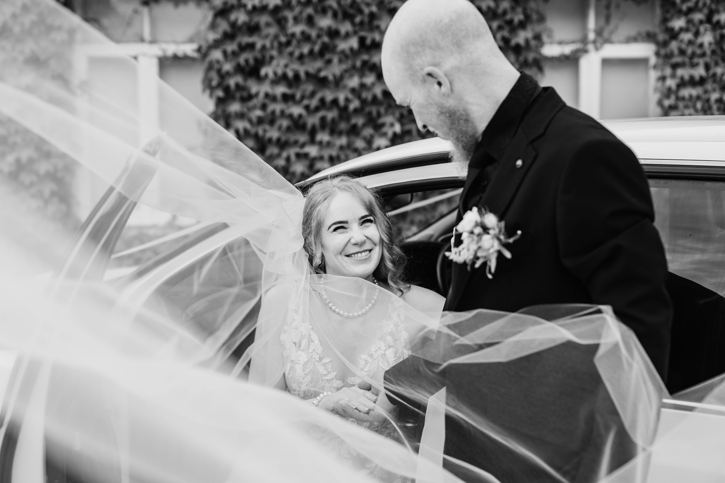 Ann and Tom Photography Videography — photo 17 of 18
