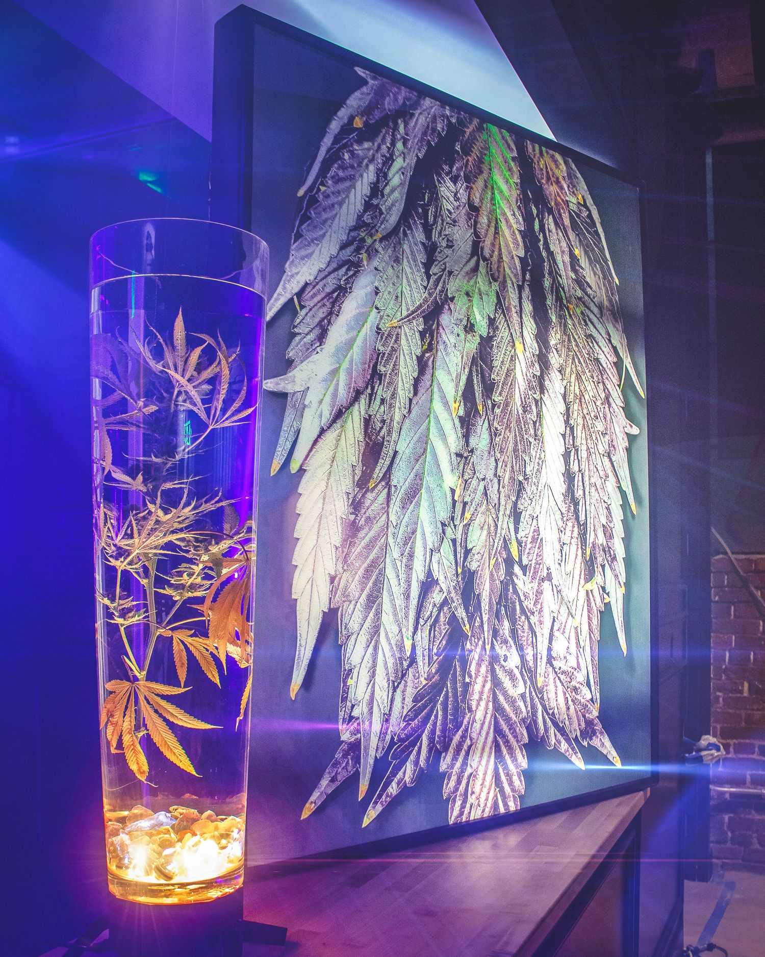 Tall glass vase with cannabis leaves in front of illuminated cannabis leaf wall art display.