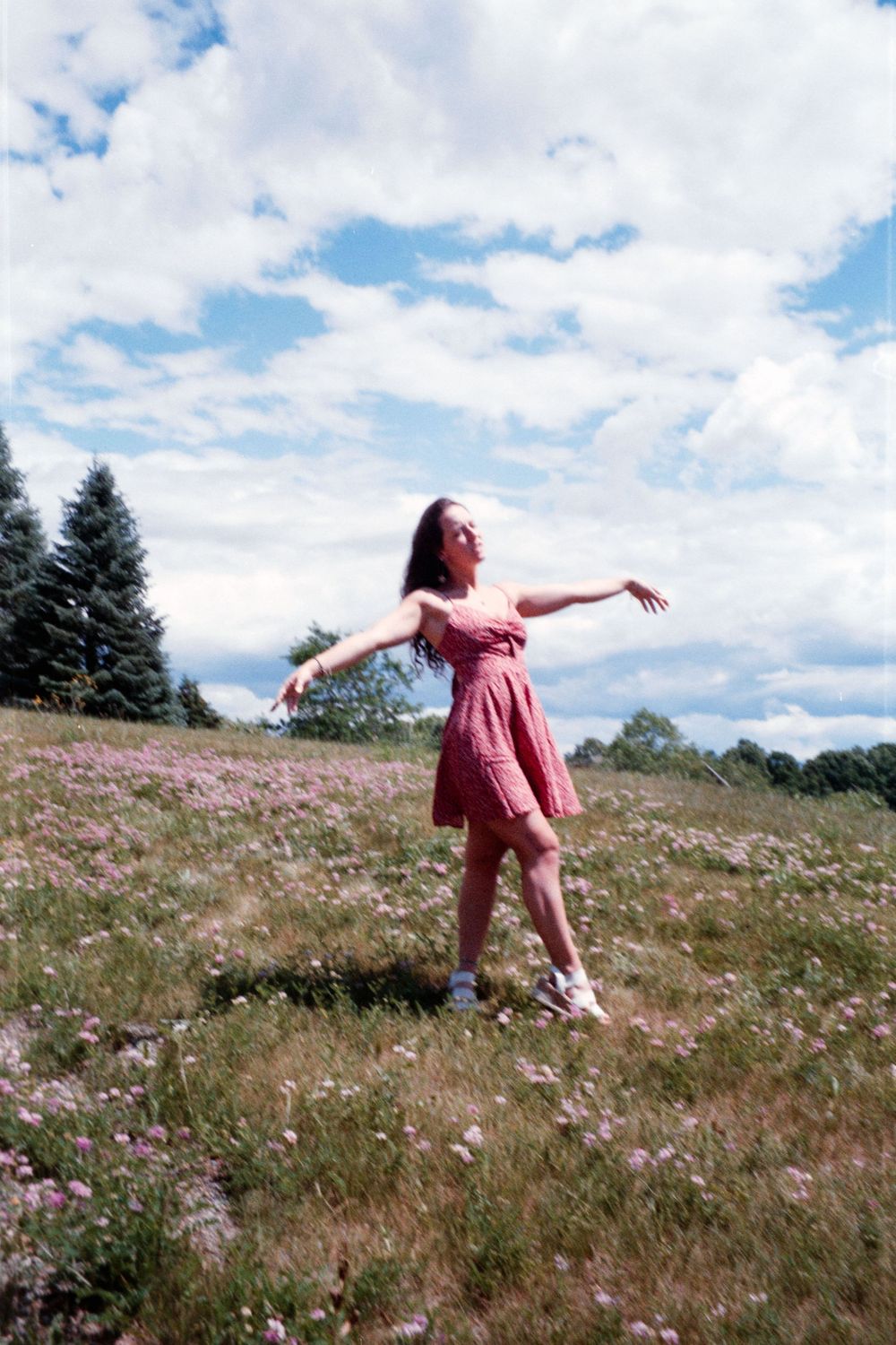 A figure twirls joyfully in a pink dress on a hillside meadow with wildflowers under puffy summer clouds.