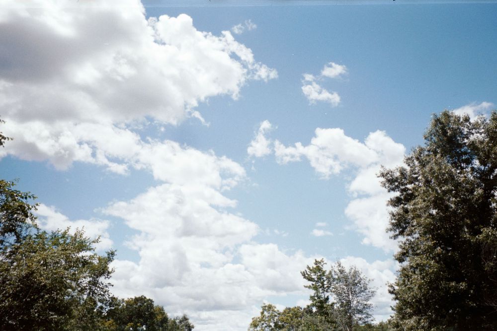 White fluffy clouds drift across a bright blue summer sky above evergreen trees.