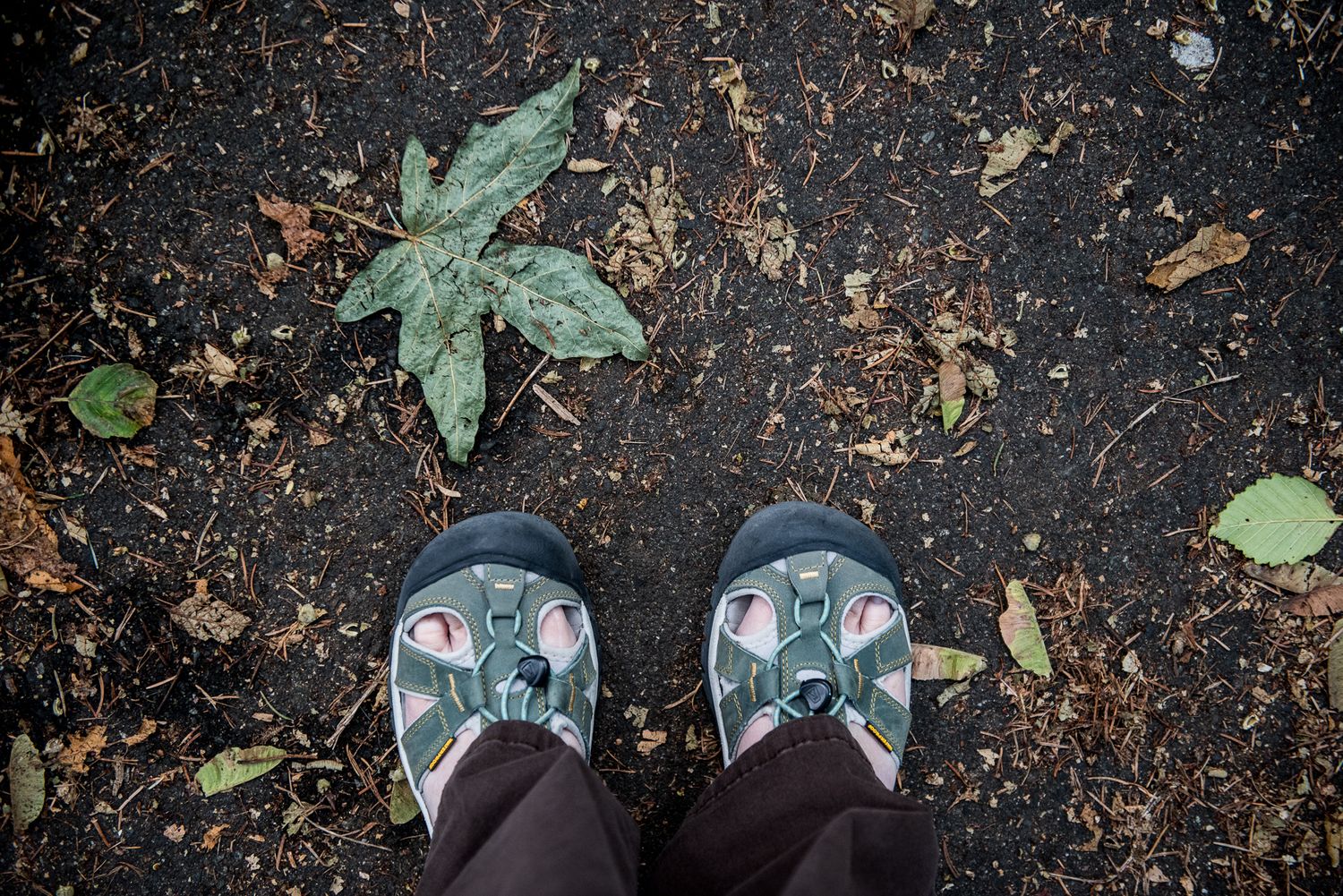 Tapestry Photographs, About Joy Neel, shoes, Seattle