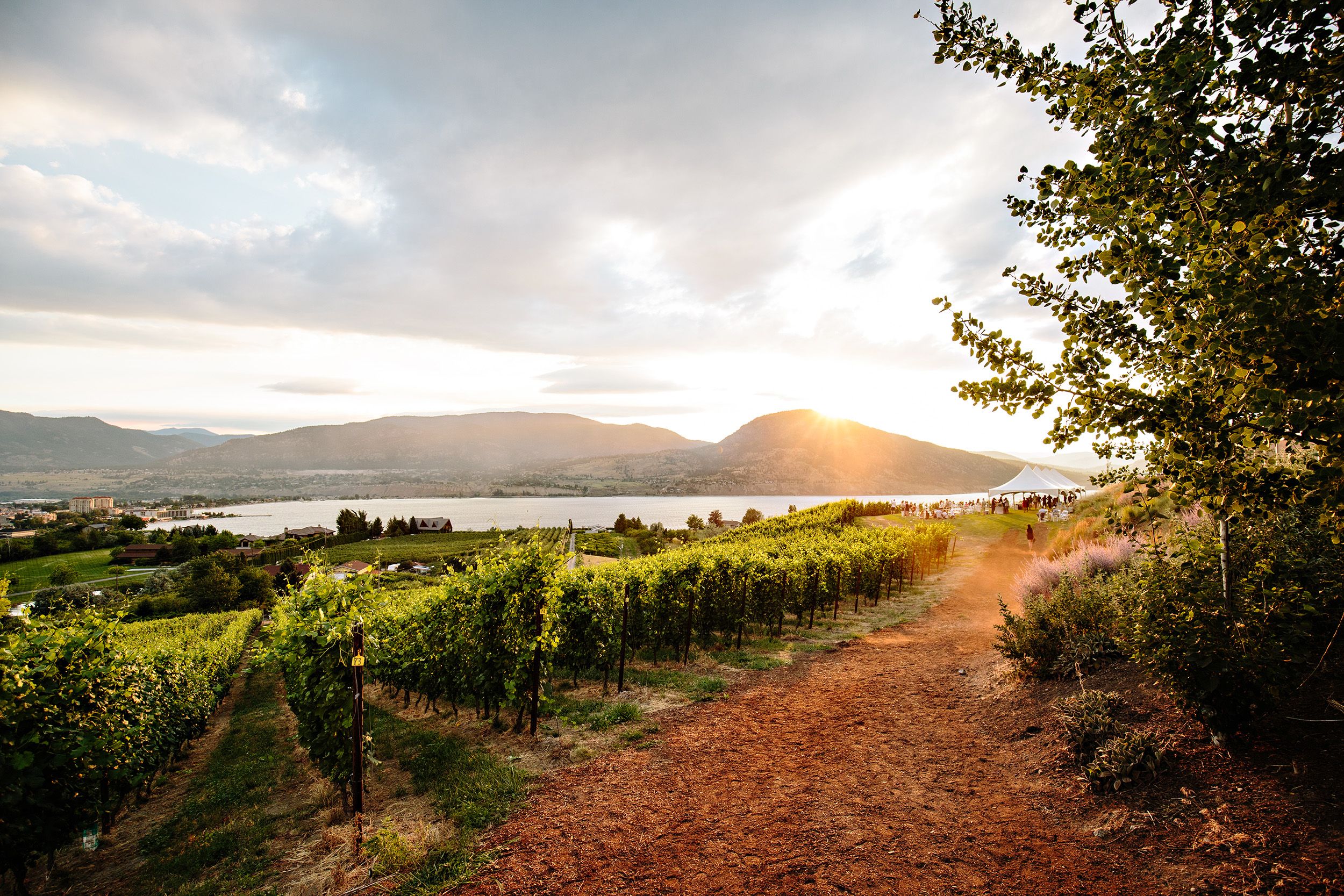 poplar grove winery event