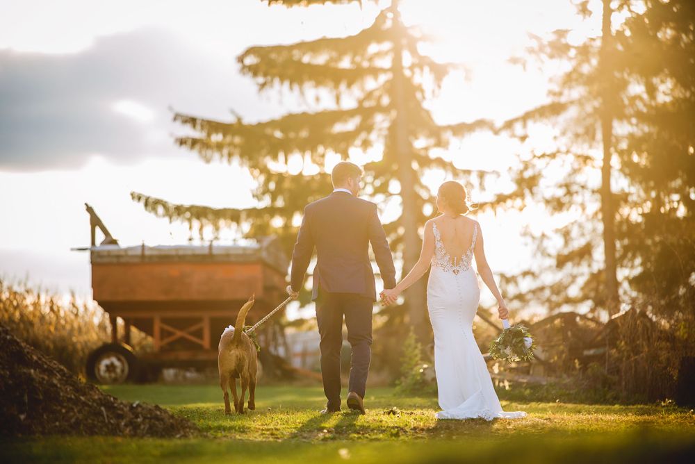 Romantic sunset wedding photo session in a field with golden light filtering through trees.
